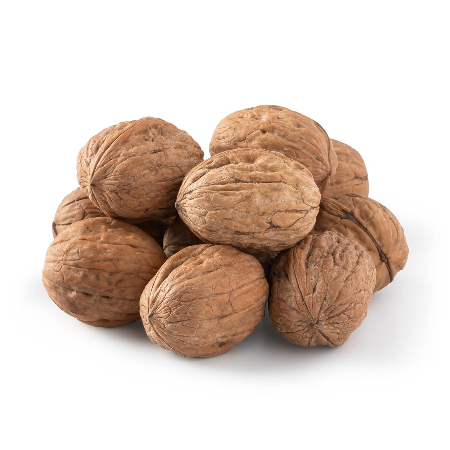 https://mail.creatyy.shop/uploads/Walnuts Super Soft Rasgula